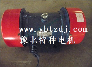 供應(yīng)YZS振動(dòng)電機(jī)