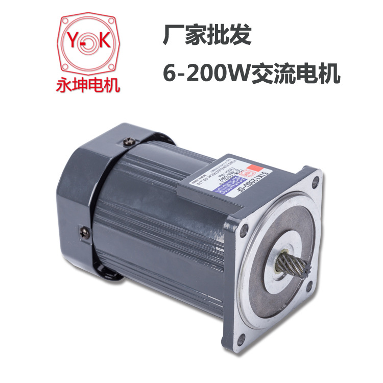 6W微型交流電機(jī)220V