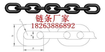 HL型TH型環(huán)鏈提升機(jī)用鏈條及鏈輪