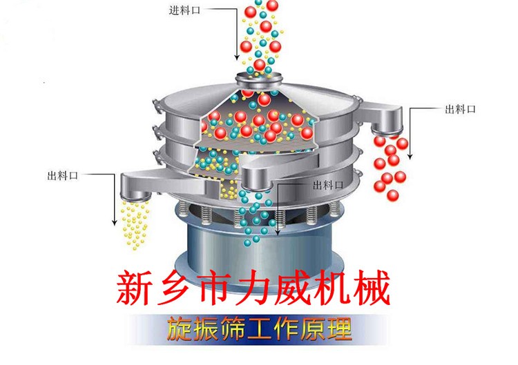 草莓粉旋振篩食品添加劑調(diào)味品圓形分目分級篩