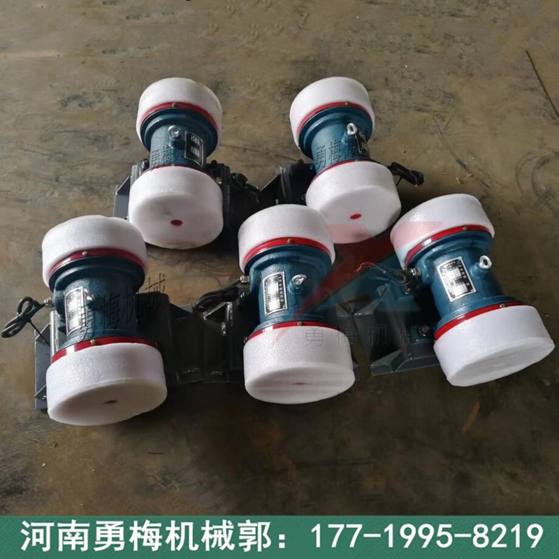 料倉(cāng)防堵BZF-10倉(cāng)壁振打器 震動(dòng)電機(jī)