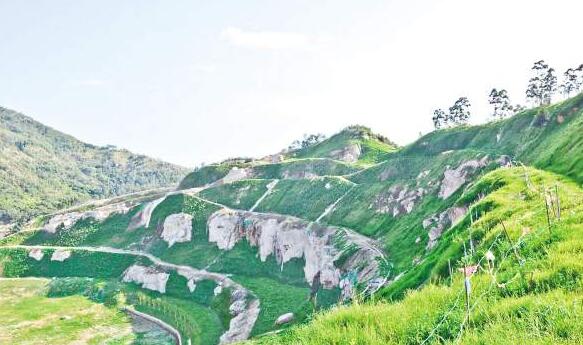 竹蘭山采石場一處坡面復(fù)綠后。廈門海滄城建園林景觀工程有限公司供圖