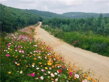 礦山生態(tài)修復(fù)后開采邊坡平臺(tái)間道路情況
