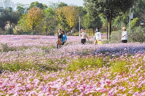 武漢經(jīng)濟(jì)技術(shù)開發(fā)區(qū)龍靈山生態(tài)公園“十里花坡”景區(qū)，修建在一片6萬平方米廢棄礦坑上?；ㄩ_時(shí)節(jié)，吸引武漢市民游客融入大自然。