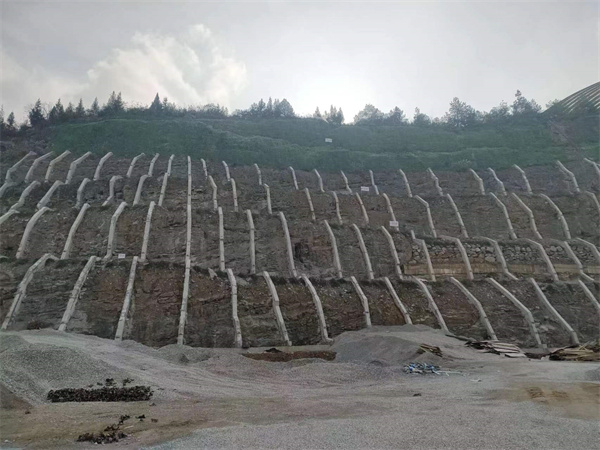 鼎灃建材采場邊坡地隱患治理后